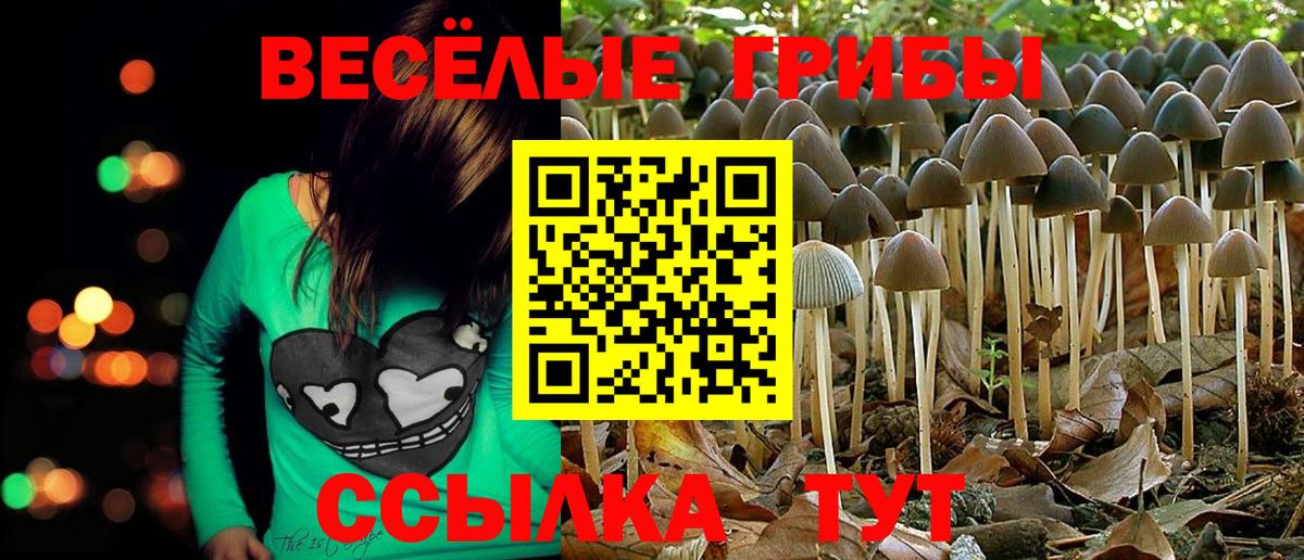 Галлюциногенные грибы прущие грибы Пыть-Ях
